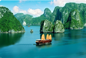 Vietnam Tours