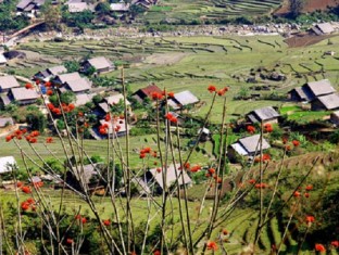 BEST OF NORTH VIETNAM 6D5N-sapa