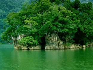 Cat Tien national park