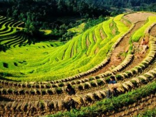 Ha Giang - Vietnam