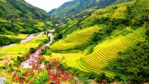 Sapa Vietnam