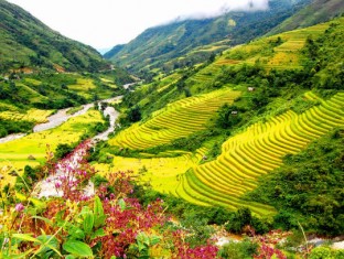 Sapa Vietnam