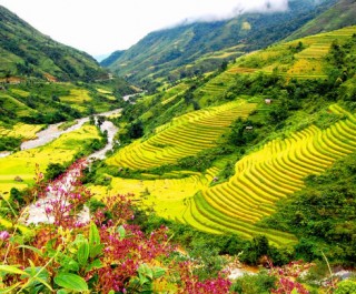 Sapa Vietnam