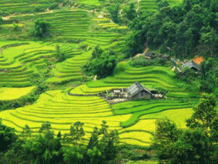 Sapa Vietnam