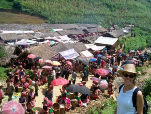 Bac-Ha-Market