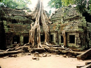 Ta Prohm pagoda