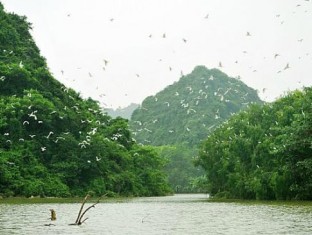 Thung Nham Ninh Binh