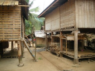 Tribal Village