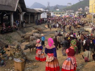 Bac Ha tour