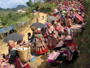 bac ha market