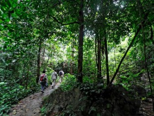 Cúc Phương national park