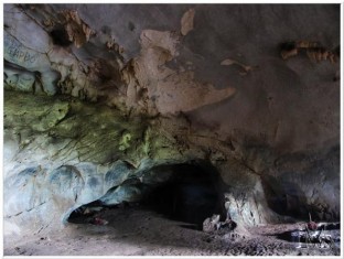 Cúc Phương national park